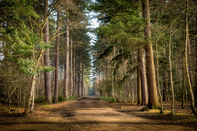 Обои картинки фото природа, дороги, простор