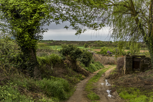 Обои картинки фото природа, дороги, простор