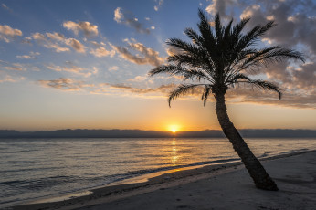 Картинка природа тропики простор