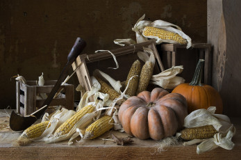 Картинка еда овощи снедь