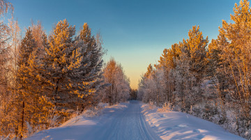 Картинка природа зима простор