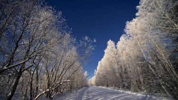 Картинка природа зима простор