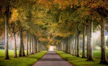 Картинка природа дороги простор