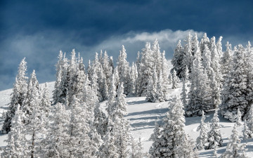 Картинка природа зима снег
