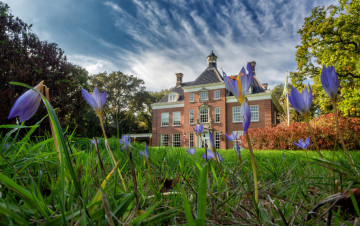 Картинка города -+здания +дома простор