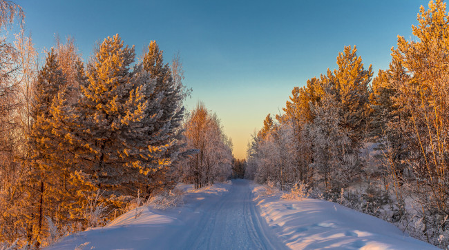 Обои картинки фото природа, зима, простор