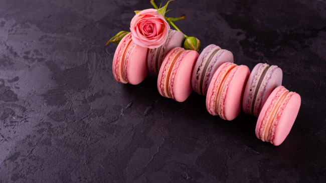 Обои картинки фото еда, макаруны, роза