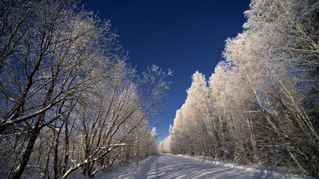 Обои картинки фото природа, зима, простор