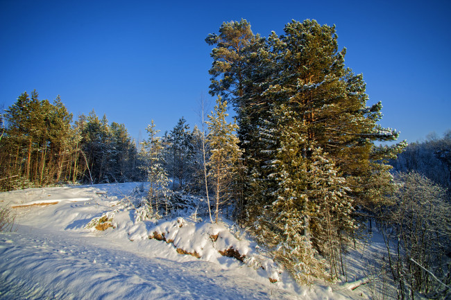 Обои картинки фото природа, зима, простор