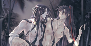 Картинка аниме mo+dao+zu+shi лань ванцзи вэй усянь