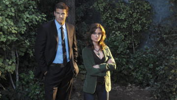 Картинка кино+фильмы bones детективы лес