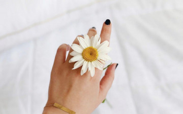 Картинка разное руки +ноги рука маникюр цветок ромашка