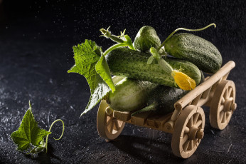 Картинка еда огурцы