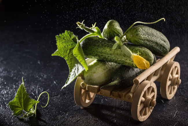 Обои картинки фото еда, огурцы