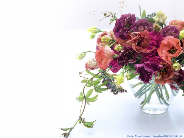 Обои картинки фото цветы, букеты, композиции