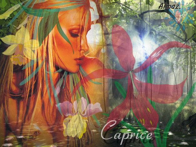 Обои картинки фото разное