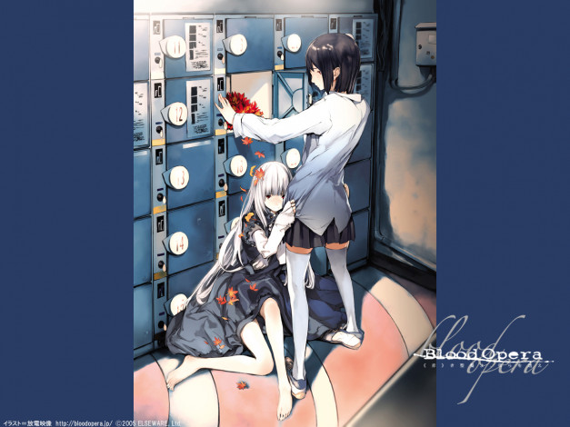 Обои картинки фото аниме, blood, opera