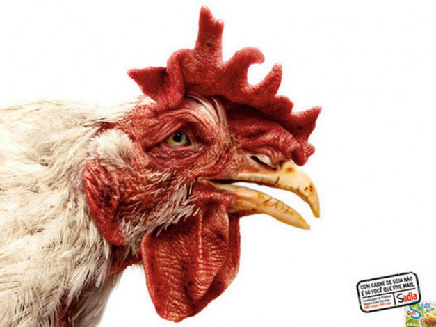 Обои картинки фото юмор, приколы