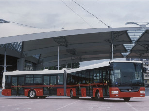 Картинка автомобили автобусы