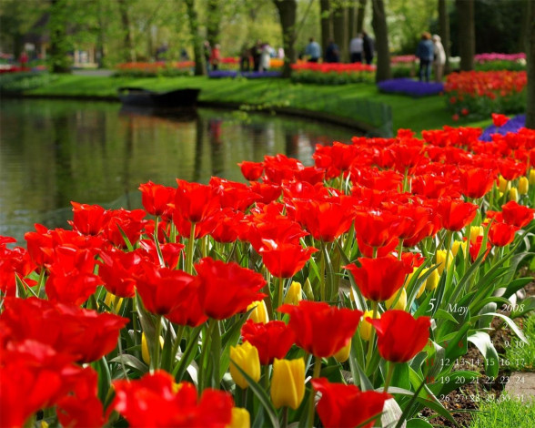 Обои картинки фото календари, цветы