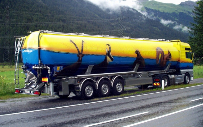 Обои картинки фото автомобили, man