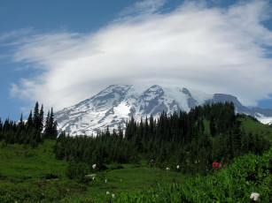 Картинка природа горы washington usa mount rainier