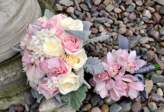 Картинка цветы букеты композиции розы нарциссы орхидеи