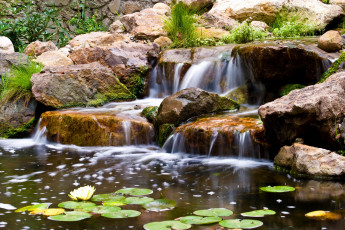 Картинка природа реки озера вода камни