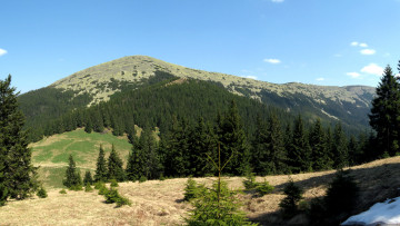 Картинка природа горы карпаты г  малий горган украина