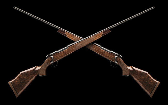 Обои картинки фото оружие, 3d, винтовки