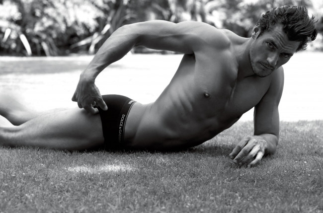 Обои картинки фото david, gandy, мужчины, dolce, and, gabbana