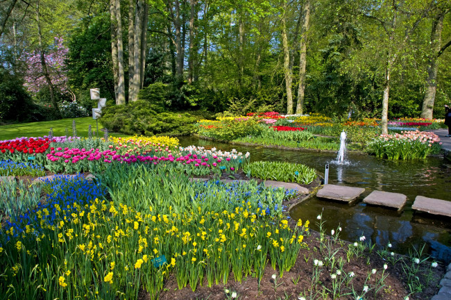Обои картинки фото природа, парк, keukenhof, lisse, netherlands