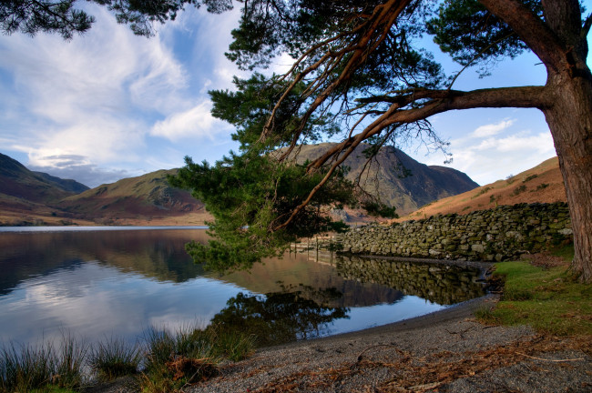 Обои картинки фото природа, реки, озера, озеро, дерево, холмы, горы, берег