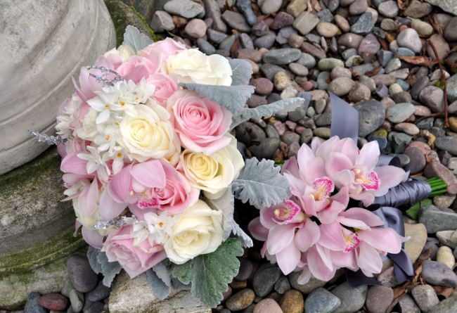 Обои картинки фото цветы, букеты, композиции, розы, нарциссы, орхидеи