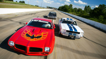 Картинка автомобили разные вместе shelby gt350 chevrolet nova mustang ford trans am firebird pontiac