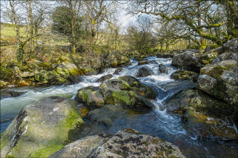 Картинка природа реки озера стремнина камни река лес