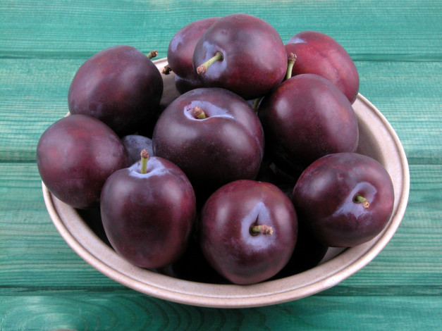 Обои картинки фото еда, персики,  сливы,  абрикосы, тарелка, фон, фрукт, сливы