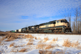 Картинка техника поезда железная дорога рельсы локомотив состав