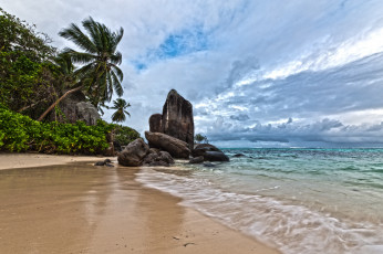 Картинка природа тропики лето берег океан сейшелы побережье