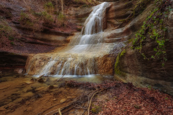 Картинка природа водопады водопад река лес