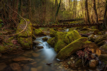 Картинка природа водопады водопад река лес