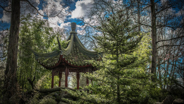 Картинка природа лес беседка деревья