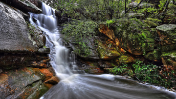 Картинка природа водопады река водопад лес