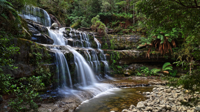 Обои картинки фото природа, водопады, река, лес, водопад