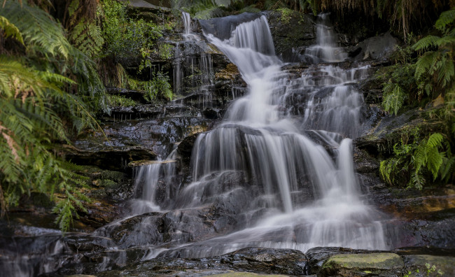 Обои картинки фото природа, водопады, водопад, река, лес