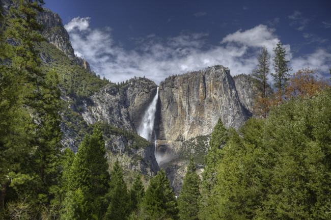 Обои картинки фото природа, водопады, водопад, река, лес