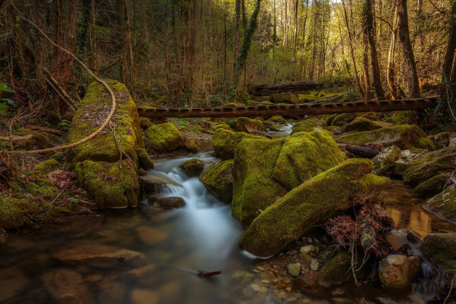 Обои картинки фото природа, водопады, водопад, река, лес