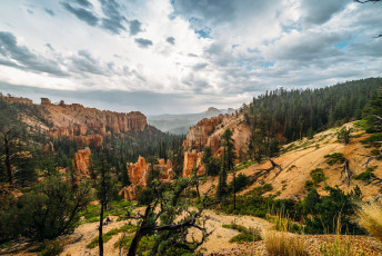 Картинка природа горы скалы