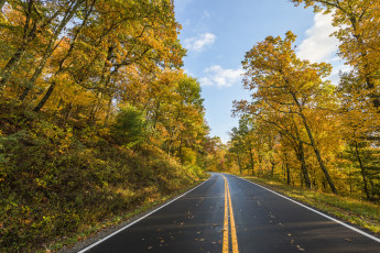 Картинка природа дороги тракт