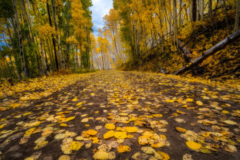 Картинка природа дороги тракт